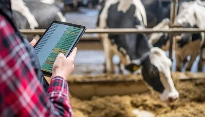 Foto de Del orde�o tradicional a la granja 5.0