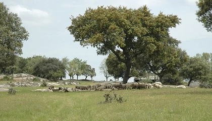 Foto de El Gobierno apuesta por la mejora de la gesti�n del conocimiento en bienestar animal