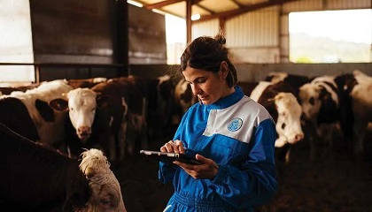 Foto de Provacuno refuerza la sostenibilidad del vacuno con una app de medici�n de emisiones