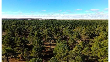 Foto de Recordarmiarbol convierte el duelo en bosques vivos mediante la reforestaci�n