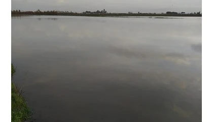 Foto de El sector agrícola andaluz advierte de los graves daños causados por el temporal