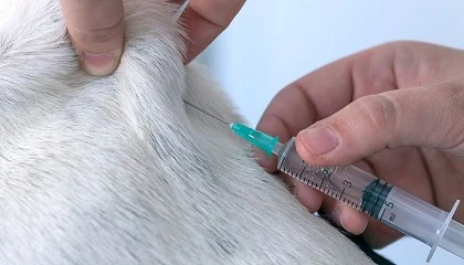 Foto de Evidencia cl�nica sobre la falta de adecuaci�n de las fichas t�cnicas de los medicamentos