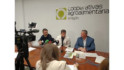 Foto de Las cooperativas de Aragón se plantean sembrar 2.000 hectáreas de soja en 2026