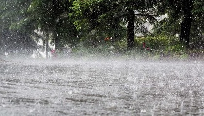 Foto de AEP considera positivo apoios do Governo para mitigar impactos da depress�o Kristin