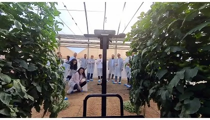 Foto de Cajamar Innova Agrotech lanza tres nuevos Retos Tecnol�gicos para impulsar la innovaci�n en el sector agroalimentario