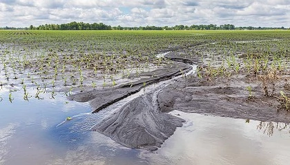 Foto de CAP: preju�zos superiores a 775 milh�es de euros exigem a��o urgente do Estado