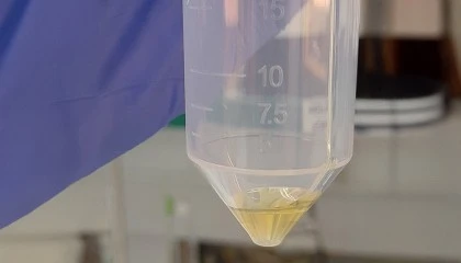 Foto de Una nueva t�cnica permite identificar el origen de la miel a partir de su aroma