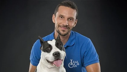 Foto de Características cognitivas y conductuales del caniche: implicaciones en el aprendizaje