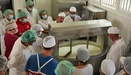 Foto de El Curso Maestro Quesero 4.0 incide en la creaci�n de peque�as industrias l�cteas
