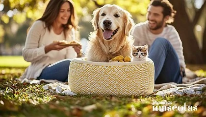 Foto de Lo que tu animal de compañía dice de ti en el amor: el 'test' más inesperado para este San Valentín