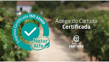Foto de Adega do Cartaxo obt�m certifica��o ISO 22000 e refor�a gest�o de seguran�a alimentar