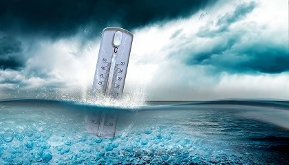 Foto de La tropicalizaci�n avanza en el sur del Mediterr�neo y redefine el escenario de la cadena de valor del pescado