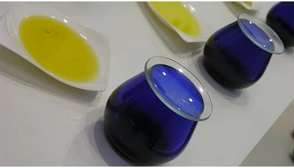 Foto de Sierra M�gina se presenta en el Centro Riojano de Madrid con una cata de AOVE y propuesta gastron�mica