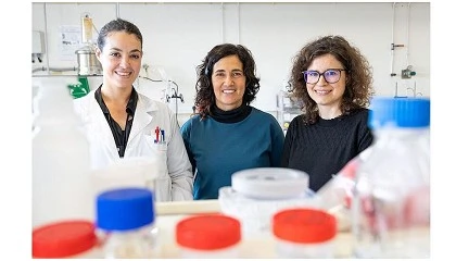 Foto de Casca de cebola usada para criar biopl�sticos mais resistentes e sustent�veis