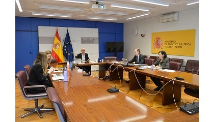 Foto de Aprobada la extensi�n de norma para el sector de la naranja y la mandarina