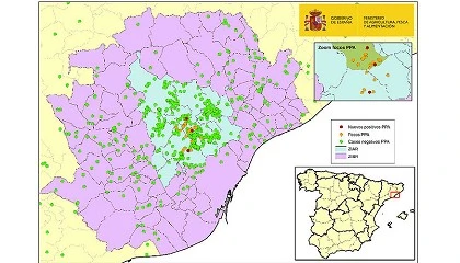 Foto de Detectados dos jabal�es muertos fuera de la zona de alto riesgo por peste porcina africana
