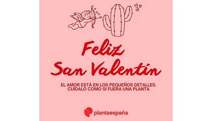 Foto de Rosa y clavel rojo, las flores favoritas para celebrar el amor el 14 de febrero