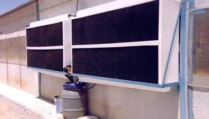 Foto de Refrigeración evaporativa en ganadería: eficiencia, bienestar y adaptación al cambio climático