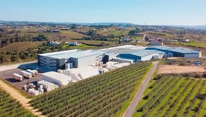 Foto de Granfer: Rega eficiente e sustentabilidade no Oeste com Wisecrop