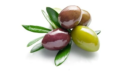 Foto de PhenOlives instala la primera l�nea industrial de harina de oliva y abre una v�a de valorizaci�n del alperujo