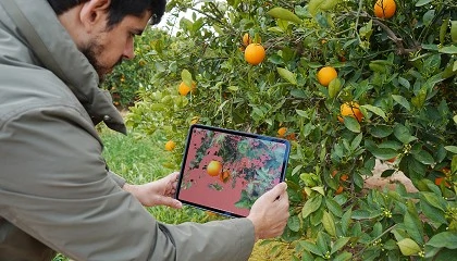 Foto de AINIA re�ne a la industria para integrar inteligencia artificial y rob�tica en la estrategia empresarial