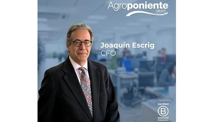 Foto de Grupo Agroponiente nombra a Joaqu�n Escrig Teigeiro nuevo director financiero