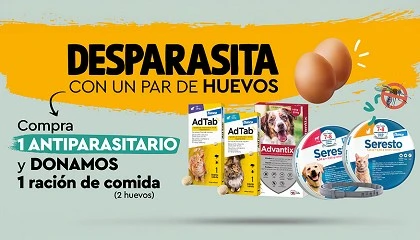 Foto de Elanco, Guaw y DAGU impulsan la desparasitación animal con impacto social en la segunda edición de 'Desparasita con un par de huevos'