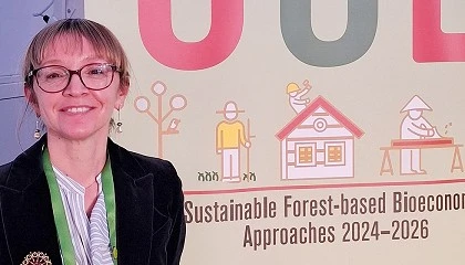 Foto de La industria maderera europea aboga por una bioeconomía competitiva