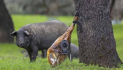 Foto de Ib�ricos Casa Lucas sit�a su jam�n Gran Reserva Premium entre los productos gourmet mejor valorados del mundo