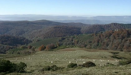 Foto de Una red de 250 GPS para identificar zonas de riesgo sanitario en el pastoreo extensivo