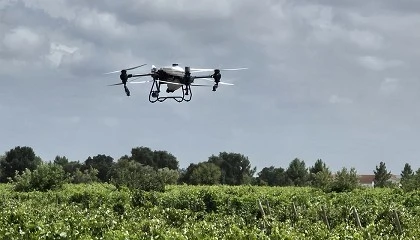 Foto de Biotecnologia de precis�o e servi�os com drones: a nova fronteira da agricultura sustent�vel