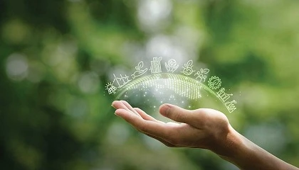 Foto de Aliados Consulting lan�a Carbon at Zero para simplificar c�lculo da pegada de carbono empresarial