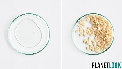 Foto de Glam+Colour presenta su fórmula mejorada para reavivar el color y la luminosidad del cabello