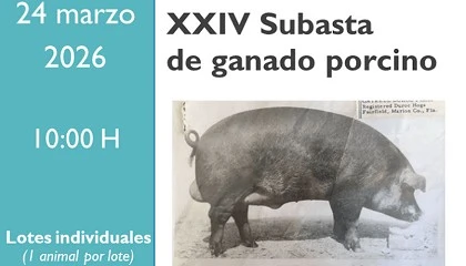 Foto de El Censyra de Badajoz subastar� el 24 de marzo ejemplares de la raza porcina Duroc