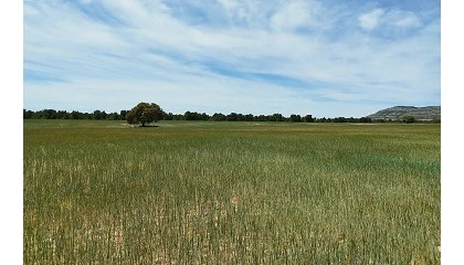 Foto de Castilla y León lanza una nueva línea de ayudas agroambientales y climáticas