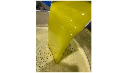 Foto de Produ��o de azeite da campanha sofre queda ligeira, revela Olivum