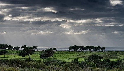 Foto de Futuro � merc� da resili�ncia e capacidade de adapta��o dos agricultores portugueses