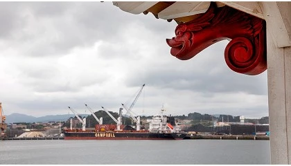 Foto de Los puertos espa�oles mueven 41,2 millones de toneladas en enero, un 4,5% menos