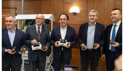 Foto de 'Aguacate Valenciano', la marca que impulsa la 
