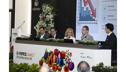 Foto de PAC, competencia de terceros países, relación con la distribución, fitosanitarios y normativa laboral, ejes de la asamblea de Fepex