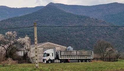 Foto de Arag�n confirma el primer caso de dermatosis nodular contagiosa en su territorio