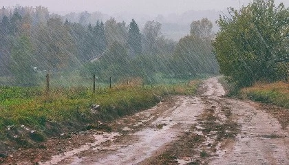 Foto de Ano agr�cola desafiante exige resili�ncia e muito trabalho
