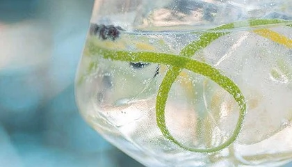 Photo de Sorpresa arom�tica en la destiler�a: el vac�o creativo convierte la ginebra en una aventura del sabor