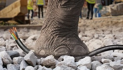 Foto de Migu�lez presenta VULCANFLEX, su nueva gama de cables flexibles de alto rendimiento para entornos exigentes