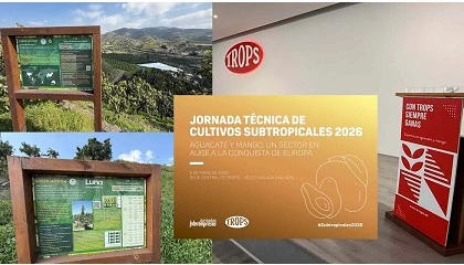 Foto de La Jornada Técnica de Subtropicales 2026 reunirá al sector del aguacate y el mango el 5 de mayo en la sede central de TROPS