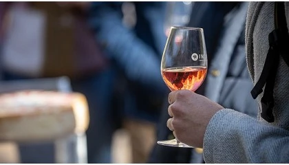 Foto de El vino con DO catal�n mantiene una cuota del 37,2% en un a�o de ajuste del consumo y estabilidad en valor