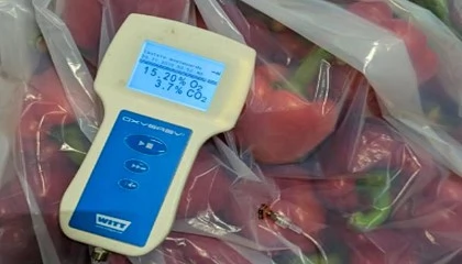 Foto de Envalior y PerfoTec presentan una nueva pel�cula que prolonga la vida �til de frutas y hortalizas sin gases a�adidos