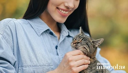 Foto de Sanicat refuerza su compromiso con el bienestar a través de una jornada sobre terapia felina