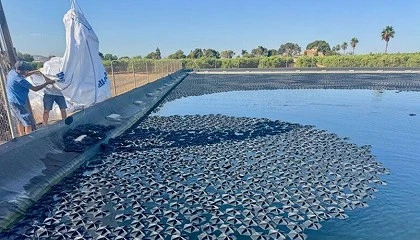 Foto de Hexa-Cover aumenta la seguridad al controlar la proliferaci�n de algas en las balsas de riego