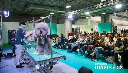 Foto de Artero celebra sus jornadas en Iberzoo Propet 2026
